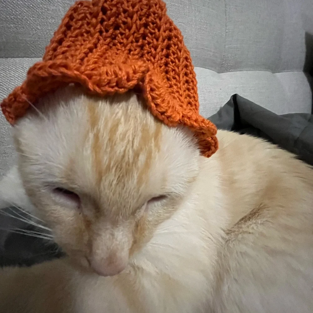 Custom crochet pet or baby hat!
